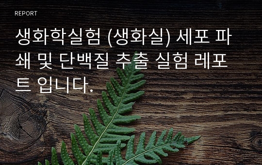 생화학실험 (생화실) 세포 파쇄 및 단백질 추출 실험 레포트 입니다.