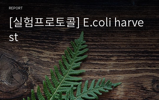 [실험프로토콜] E.coli harvest