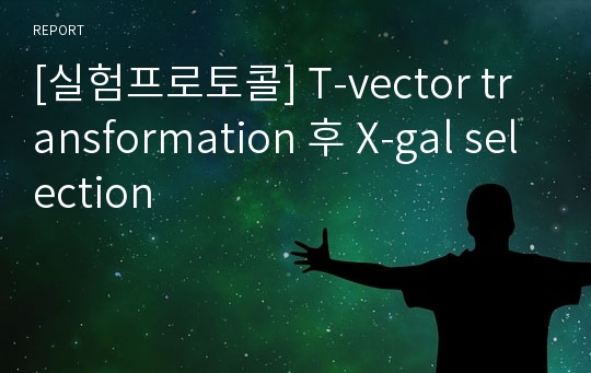 [실험프로토콜] T-vector transformation 후 X-gal selection