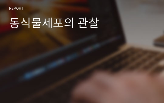 동식물세포의 관찰