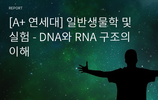 [A+ 연세대] 일반생물학 및 실험 - DNA와 RNA 구조의 이해