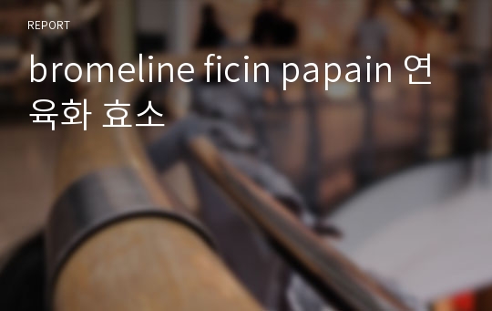 bromeline ficin papain 연육화 효소