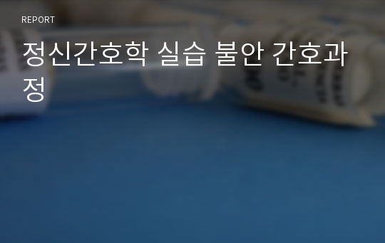 정신간호학 실습 불안 간호과정