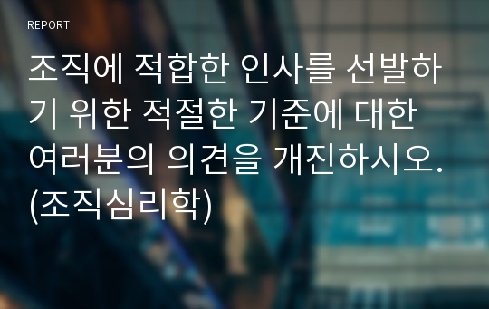 조직에 적합한 인사를 선발하기 위한 적절한 기준에 대한 여러분의 의견을 개진하시오.(조직심리학)