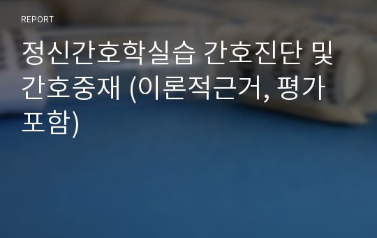 정신간호학실습 간호진단 및 간호중재 (이론적근거, 평가 포함)