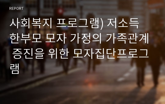 사회복지 프로그램) 저소득 한부모 모자 가정의 가족관계 증진을 위한 모자집단프로그램