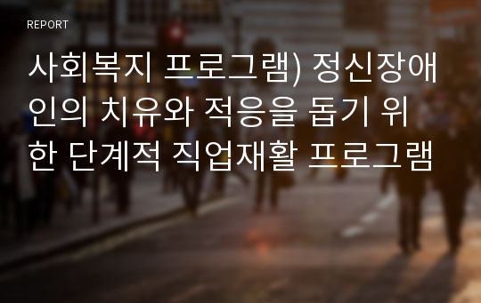 사회복지 프로그램) 정신장애인의 치유와 적응을 돕기 위한 단계적 직업재활 프로그램