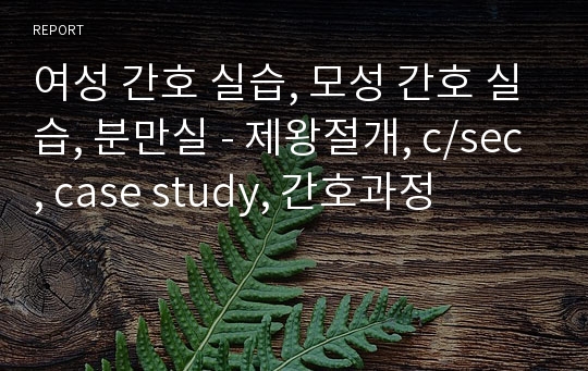 여성 간호 실습, 모성 간호 실습, 분만실 - 제왕절개, c/sec, case study, 간호과정