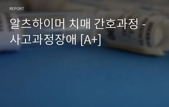 알츠하이머 치매 간호과정 - 사고과정장애 [A+]