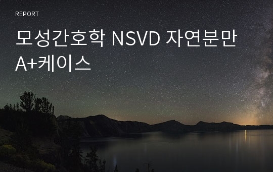 모성간호학 NSVD 자연분만 A+케이스