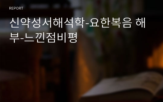 신약성서해석학-요한복음 해부-느낀점비평