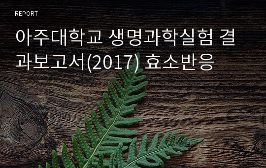 아주대학교 생명과학실험 결과보고서(2017) 효소반응