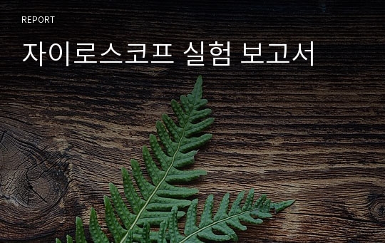 자이로스코프 실험 보고서