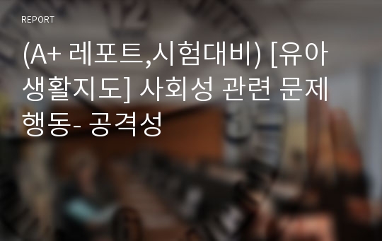 (A+ 레포트,시험대비) [유아생활지도] 사회성 관련 문제행동- 공격성