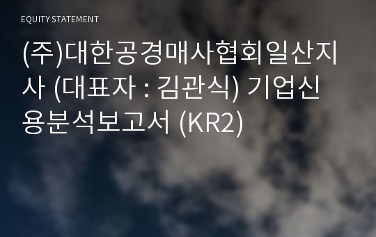 (주)대한공경매사협회일산지사 기업신용분석보고서 (KR2)