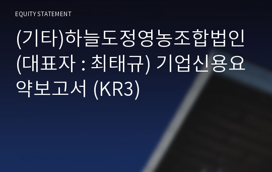 (기타)하늘도정영농조합법인 기업신용요약보고서 (KR3)