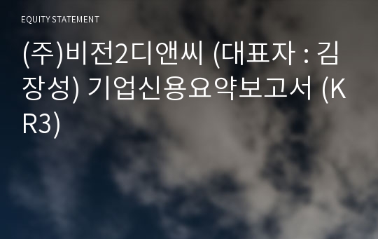 (주)비전2디앤씨 기업신용요약보고서 (KR3)