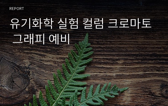 유기화학 실험 컬럼 크로마토 그래피 예비