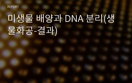 미생물 배양과 DNA 분리(생물화공-결과)