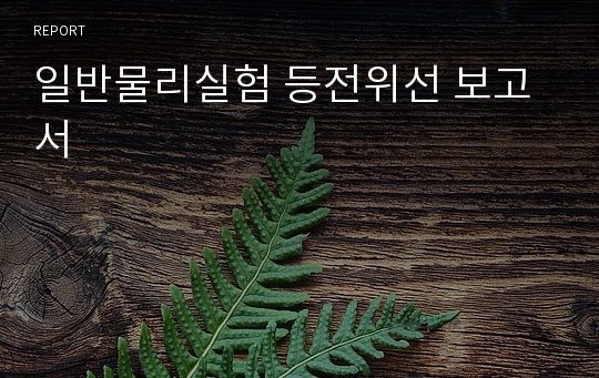 일반물리실험 등전위선 보고서