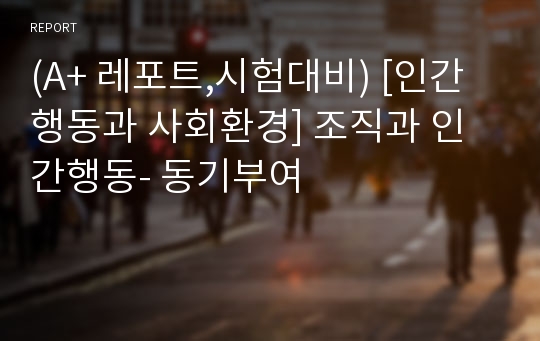 (A+ 레포트,시험대비) [인간행동과 사회환경] 조직과 인간행동- 동기부여