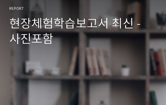 현장체험학습보고서 사진포함