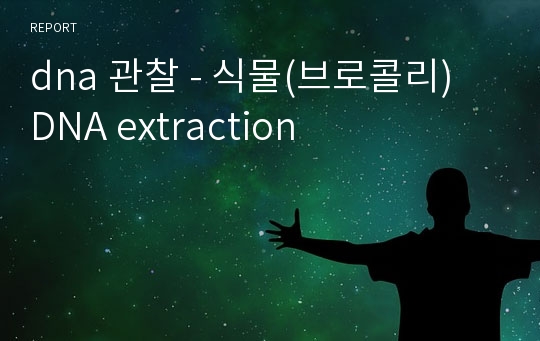 dna 관찰 - 식물(브로콜리) DNA extraction