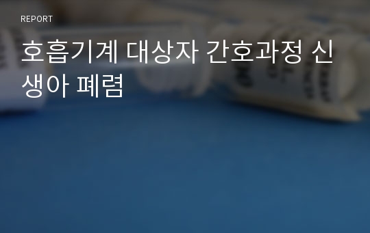 호흡기계 대상자 간호과정 신생아 폐렴