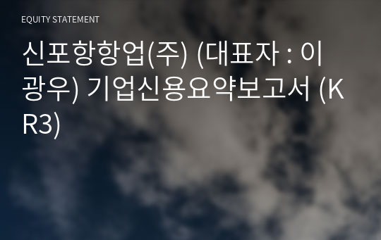 신포항항업(주) 기업신용요약보고서 (KR3)