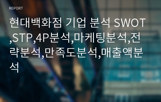 현대백화점 기업 분석 SWOT,STP,4P분석,마케팅분석,전략분석,만족도분석,매출액분석