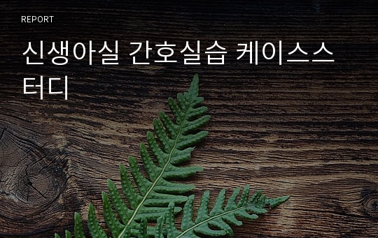 신생아실 간호실습 케이스스터디