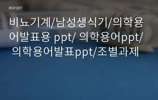 비뇨기계/남성생식기/의학용어발표용 ppt/ 의학용어ppt/ 의학용어발표ppt/조별과제