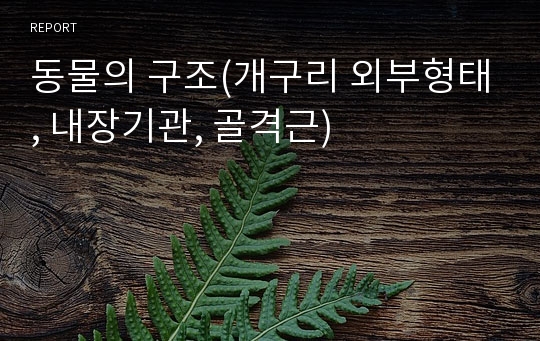 동물의 구조(개구리 외부형태, 내장기관, 골격근)