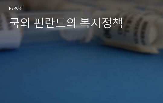 국외 핀란드의 복지정책