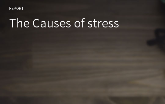 The Causes of stress