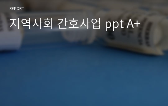 지역사회 간호사업 ppt A+