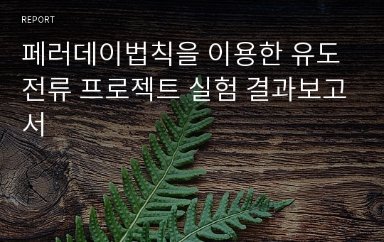 페러데이법칙을 이용한 유도전류 프로젝트 실험 결과보고서