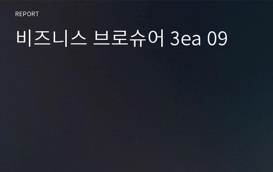 비즈니스 브로슈어 3ea 09