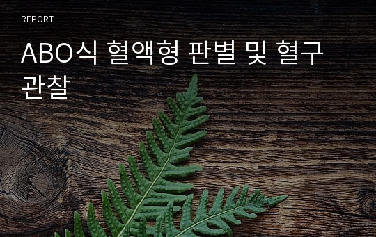 ABO식 혈액형 판별 및 혈구 관찰