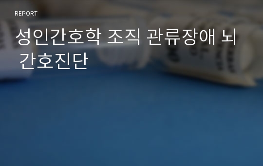 성인간호학 조직 관류장애 뇌 간호진단