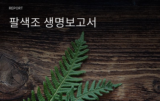 팔색조 생명보고서