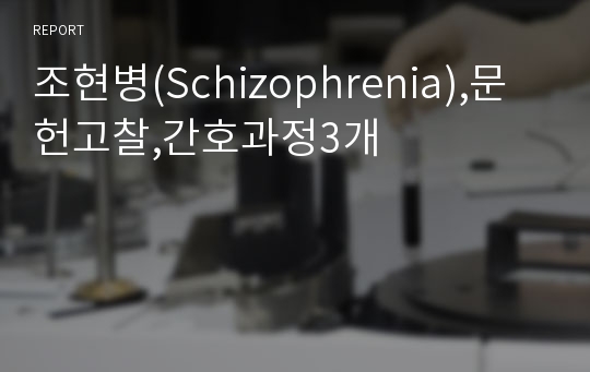 조현병(Schizophrenia),문헌고찰,간호과정3개