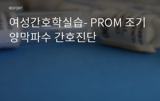 여성간호학실습- PROM 조기양막파수 간호진단