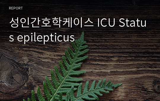 성인간호학케이스 ICU Status epilepticus
