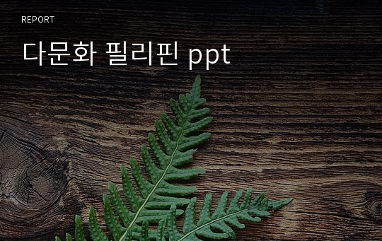 다문화 필리핀 ppt