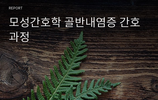 모성간호학 골반내염증 간호과정