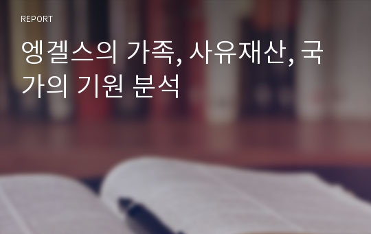 엥겔스의 가족, 사유재산, 국가의 기원 분석