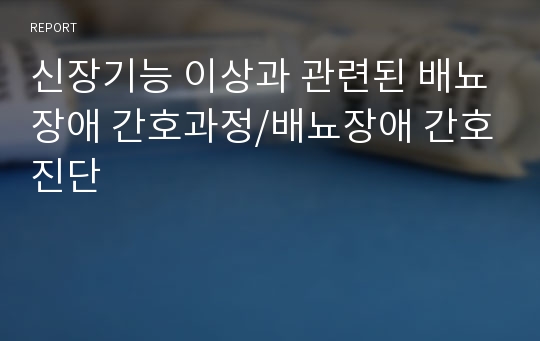 신장기능 이상과 관련된 배뇨장애 간호과정/배뇨장애 간호진단