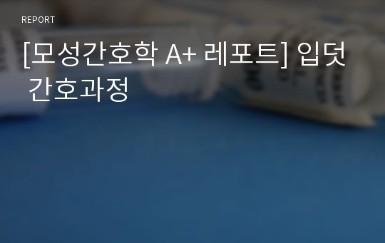 [모성간호학 A+ 레포트] 입덧 간호과정