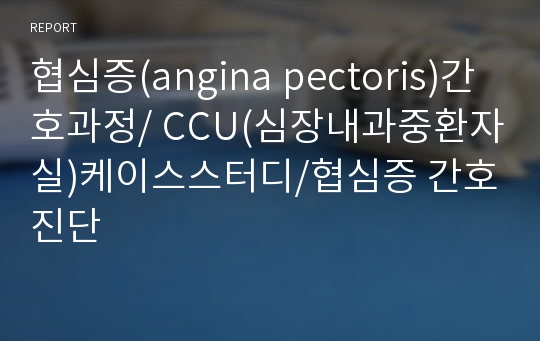 협심증(angina pectoris)간호과정/ CCU(심장내과중환자실)케이스스터디/협심증 간호진단